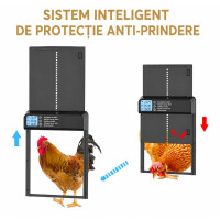 Garden King Ușă automată programabilă pentru cotețul de găini PFS-155