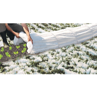 Garden King Tunel din folie 500 x 40 x 60 cm