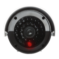 Platinium Cameră de securitate falsă OUTDOOR RL027