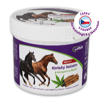 Wellife Balsam de cal cu cânepă și scorțișoară 500 ml