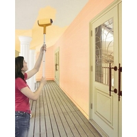 Profi Tools Rola de zugrăvit