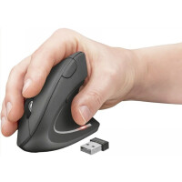 Platinium Mouse vertical wireless WL5