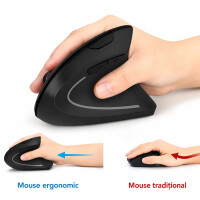 Platinium Mouse vertical wireless WL5