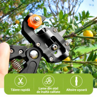 Garden King Foarfecă de grădină pentru altoit EDEN, 270 mm