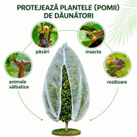 Garden King Plasă de protecție pentru pomi, 300 × 300 cm