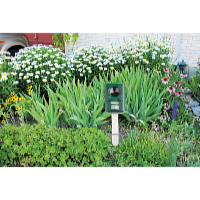 Garden King Aparat ultrasunete solar împotiva dăunătorilor Multi Plus AN-B030