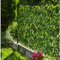 Garden King Gard artificial HEDERA FLEXI 200 x 100 cm
