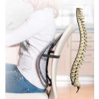 Wellife Spătar ergonomic 41 x 38 cm