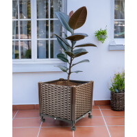 Garden King Pat modular înălțat - cu rolă Multiflex