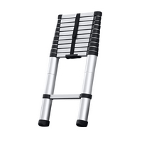 Profi Tools Scară telescopică AY-ZJ1032