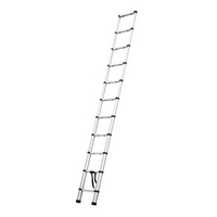 Profi Tools Scară telescopică AY-ZJ1032