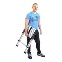 Profi Tools Scară telescopică AY-ZJ1032