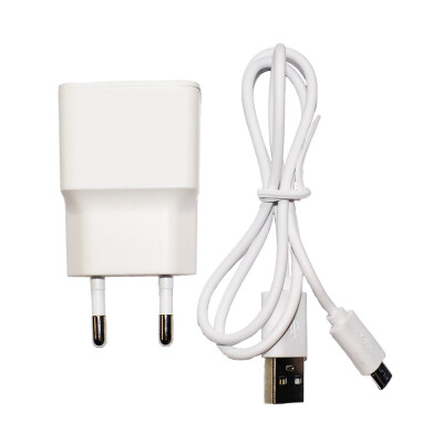 Platinium Adaptor de rețea USB cu cablu micro USB, alb