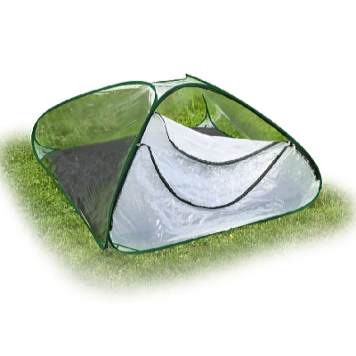 Garden King Seră de folie Spring auto-montantă 120 x 120 x 60 cm