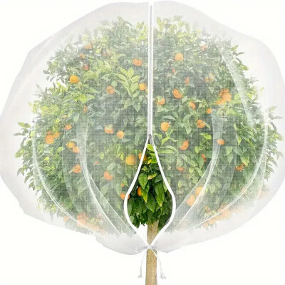 Garden King Plasă de protecție pentru pomi, 300 × 300 cm