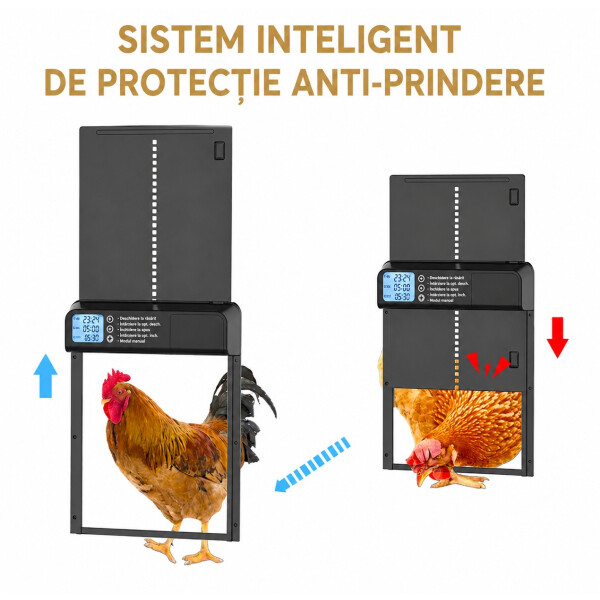 Garden King Ușă automată programabilă pentru cotețul de găini PFS-155
