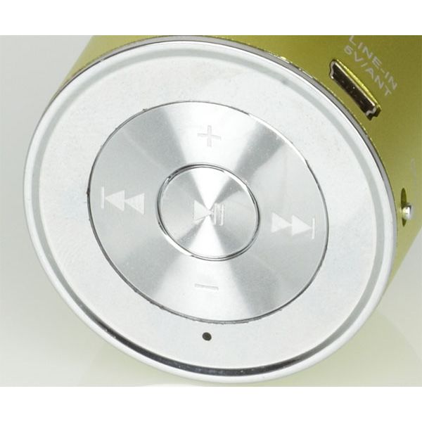 Platinium MP3 Speaker & FM Radio verde