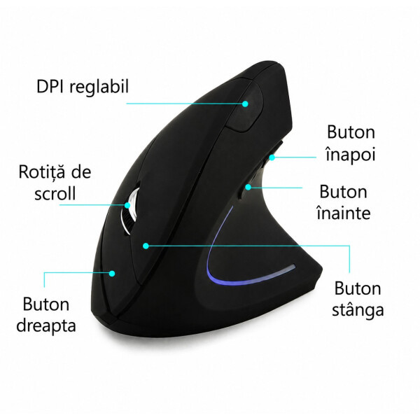 Platinium Mouse vertical wireless WL5