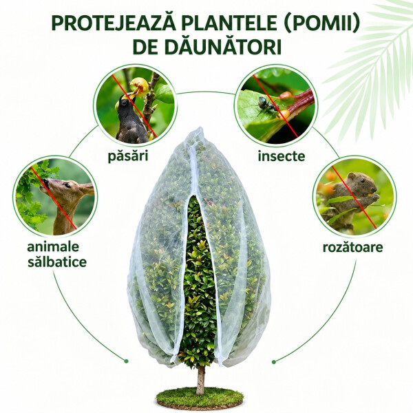 Garden King Plasă de protecție pentru pomi, 300 × 300 cm