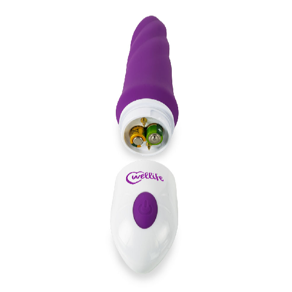 Wellife Vibrator FANTASY S022